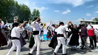 Cana verde dos galos - Festival de Ch&acirc;lette-sur-Loing