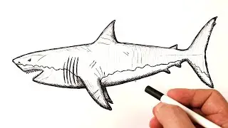 How to draw a Megalodon easy