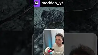 Подводные Чудища и Денис | часть 14 | modden_yt #modden #twitch #reaction #reactionvideo #react