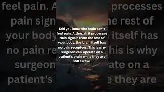 Brain cannot feel pain! #brain #pain #fact