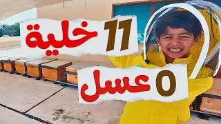 تربية الأبناء قبل النحل | ماذا علّمتنا خلايا لم تنتج عسل؟ (Parenting Before Beekeeping)