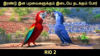 Rio 2 Amazon காட்டை காப்பாற்ற போராடும் பறவைகள் | Movie Multiverse