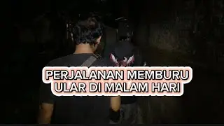 PERJALANAN MEMBURU ULAR DI MALAM HARI, TAPI ENDINGNYA BIKIN KETAWA DAN MERINDING😱‼️