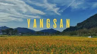 mini travel vlog | yangsan city, appreciating nature, cozy being humans