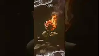Vaibhav Live at Marq Club Indore &ndash; BollyTech Beats | 16 February 2025