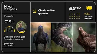 Nikon Z Experts | Z 5II con Guillermo Dom&iacute;nguez Arteaga