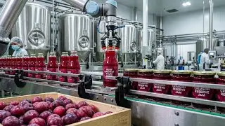 Inside a Plum Juice Factory: From Fresh Harvest to Bottled Perfection (Full Process)