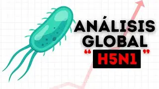 Watch This Video! to Avoid Catching Bird Flu (H5N1)