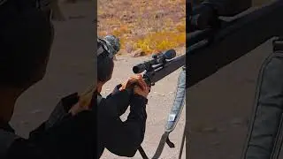 Savage AXIS XP .308 Win #shorts