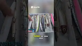 Pesca  Svelati i segreti delle esche per catturare di pi&ugrave;! #fishing #viralvideo