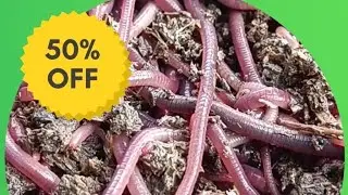 -OFFER LIMITED- 50% discount on vermicompost this season #vermicompost  #organicfarming #agriculture