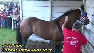 Triunfo de Oro Puro vs Pincelita - Cancha El Liuco, Gorbea. 21 Julio 2024