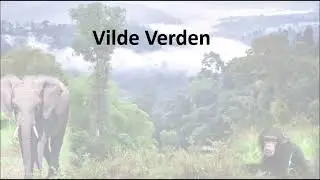 Vilde verden