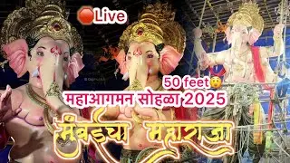 Mumbai cha maharaja aagman sohla 2025 मुबंई चा महाराजा 🔴२०२५ #Mumbaichamaharaja #maharaja #khetwadi