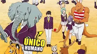 📛HE GOT A HAREM OF FURRAS BY BEING THE ONLY HUMAN IN HIS SCHOOL😲| MURENASE! SETON GAKUEN SUMMARY
