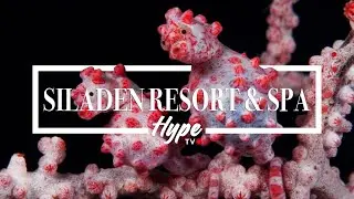 Siladen Resort & Spa (Bunaken) | Dive Hype