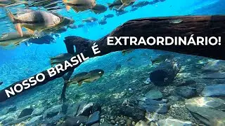 VIAGEM DE MOTO AO MATO GROSSO DO SUL - BONITO # 1 - BRASIL, EXPEDIÇÃO JATOBÁ