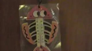 Fish skeleton