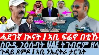 Jan-03 ኣቢ ንኤርትራ ታርጌት I ጉዳይ ጸምዶ I Saudi-UAE War I Abiy&rsquo;s Assab Push I Horn Tensions