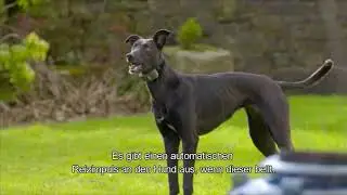 PetSafe&reg; Bellkontrolle DE untertitelsubtitles