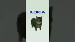 OIA Cat Nokia Ringtone!