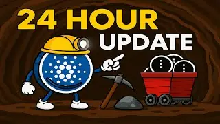 НОЧНОЙ майнинг токенов ⛏️ | 24-часовое обновление!