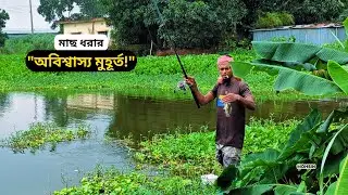 Most amazing nature fishing videos Catching lot of fish in river