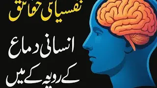 Psychology Facts In Urdu Quotes || Mind blowing facts about Human Mind & Behavior in Urdu Hindi
