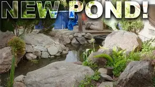 FROM CONCRETE TO PARADISE!!! (NEW POND REMODEL)