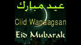 Amina Sahra  & Hoballada Waaberi | Heestii Ciida u Dabaaldaga