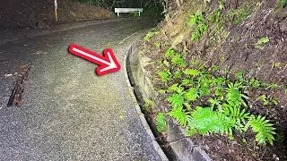 沖縄の側溝を覗いたら世界で３例目となる超希少生物が！