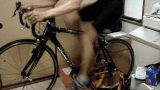 MOV04379