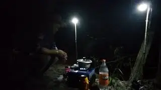 Acampamento N floresta 