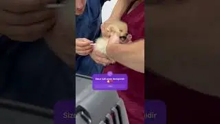 AŞI OLURKEN ANNE DİYEN K&Ouml;PEĞİMİZ KUKİ 💞🥰❤️ZEYNEP HİRANUR