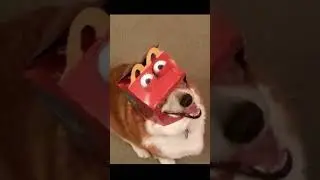 Cursed dogs image 62 #shorts