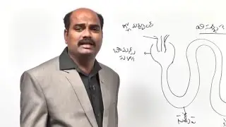 SCIENCE & TECHNOLOGY - Human Skeletal System - Part 3