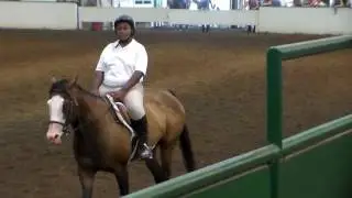 Flat Class at Summer Special Horse Show