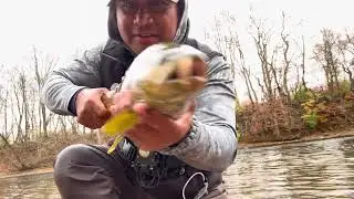 This Spot Was Loaded With BIG TROUT!! Lehigh River Fishing 