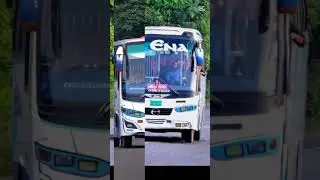 এনা লাভার কই তোমরা কমেন্ট বক্স সারা দাও #automobile #bussidindonesia #driver #sgcarmart #citybus
