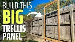 I Made this BIG Trellis for My Passion Fruit Vine