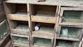12 Khana ka Darba For Sale || Nayaab : 7028188023