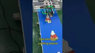 Fruit label auto counting solution #countingmachine #frictionfeeder #factorymachines #label