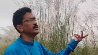 মাঝি রে//কভার গান 
