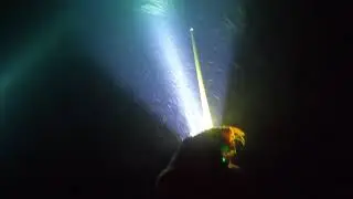 Florida Beach Dive night shark hunt