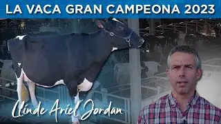 S.A.T. CECEÑO, cuna de la Vaca Gran Campeona por 4º año en el Concurso Nacional CONAFE FRISONA