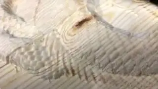 HOLZSHOP CARPINTERIA Y ROTULACI&Oacute;N  Tallado de drag&oacute;n en 3D