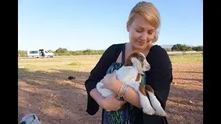 Coolturaikoty w podróży | Maroko vlog | Głośny i kolorowy Marrakesz