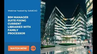 BIM Manager Suite Fixing Current Libraries with Family Processor
