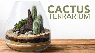 DIY Desktop Desert: Step-by-Step Cactus Terrarium Tutorial for Beginners