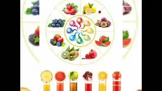 Juice Machine Manual    ( SultanCenter )